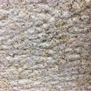 異形石