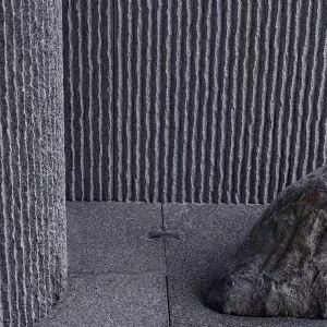 芝麻黑